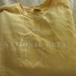 Beta Convention Crewnecks